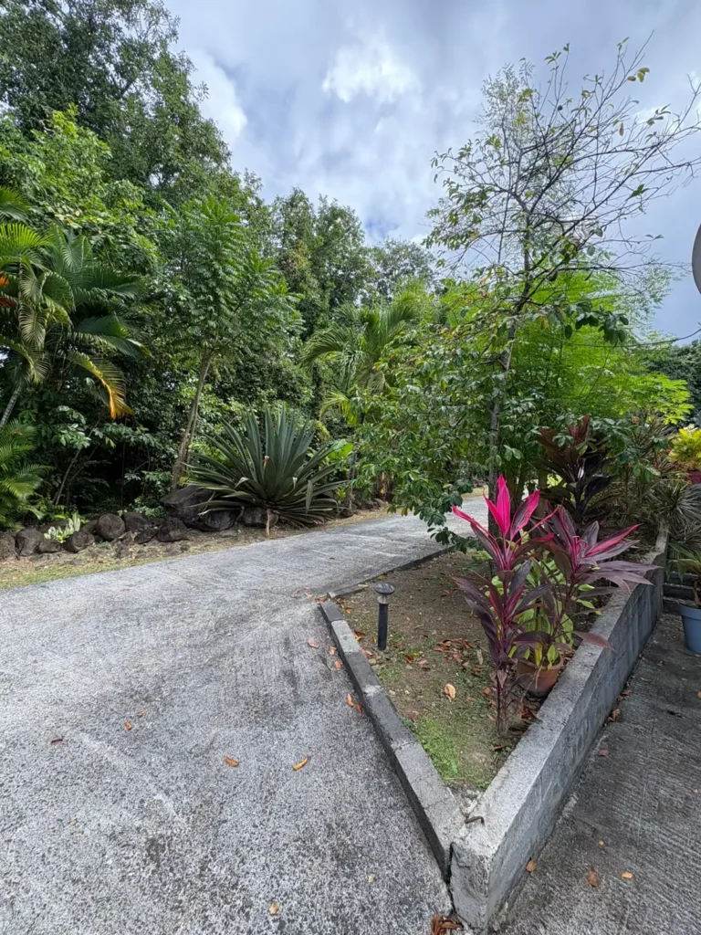 Accès facile à la propriété - Bas de villa couleuvre à Deshaies en Guadeloupe (10)