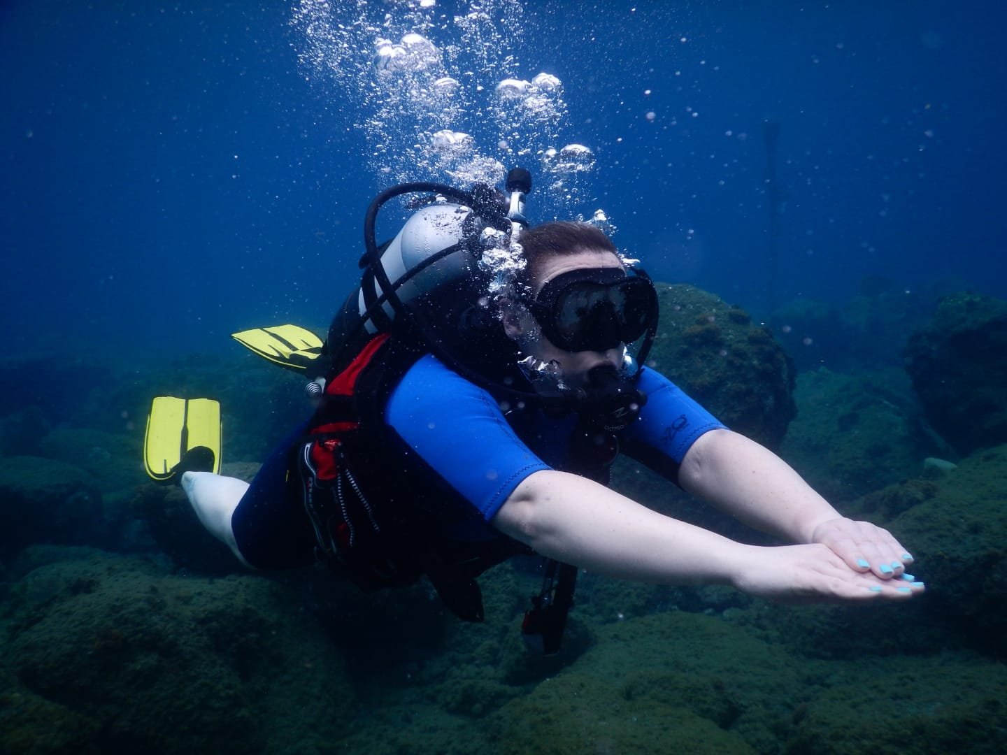 Centre de plongée Basse-Terre Plongée en Guadeloupe