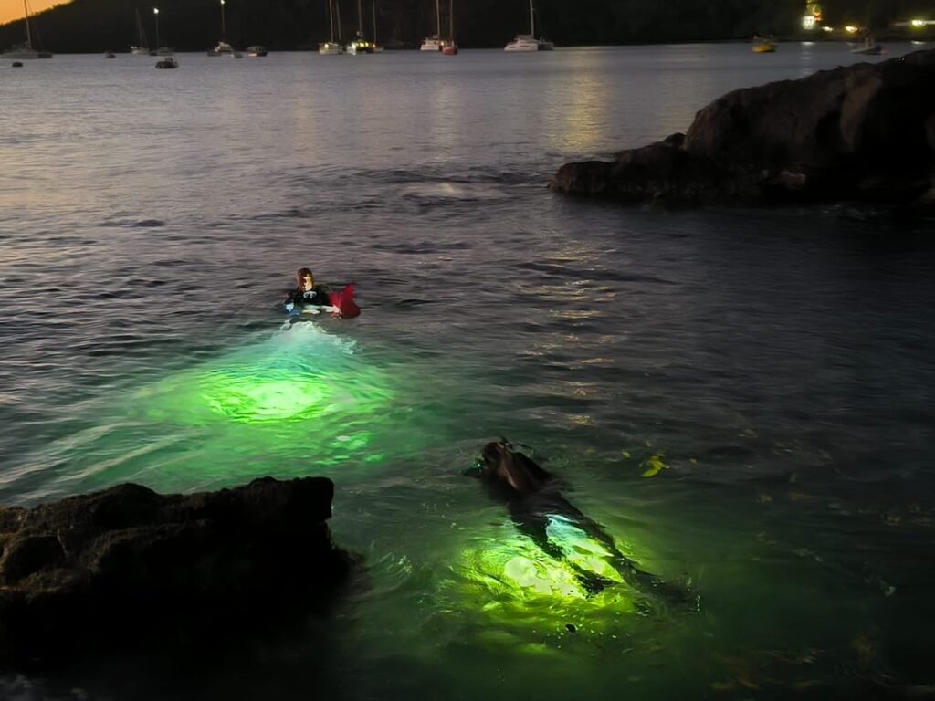 Plongée de nuit en Guadeloupe avec lampes éclairant les fonds marins près de la jetée