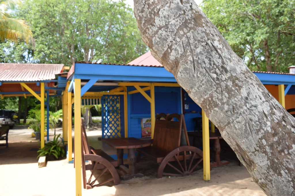 Chez Francine sur Plage de Clugny à Sainte-Rose Guadeloupe (28)