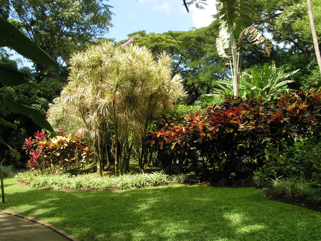 Une vue qui montre l'entretien impéccable du Jardin Botanique de Deshaies