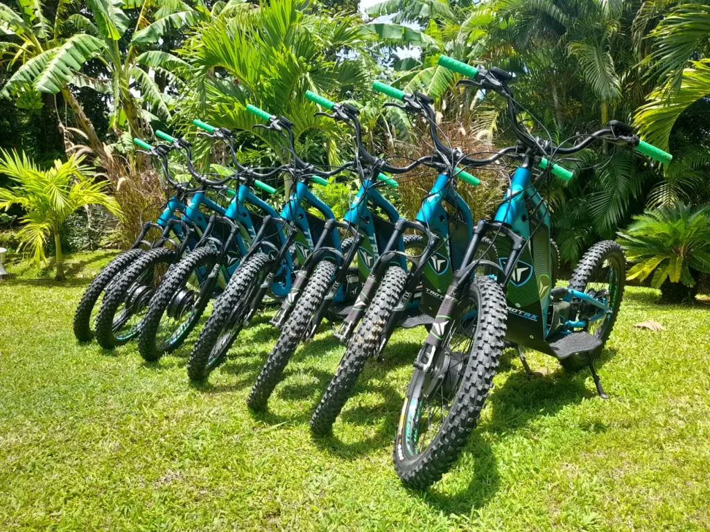 Troupeau de trottinettes apprivoisées par Karib Trott à Sainte-Rose