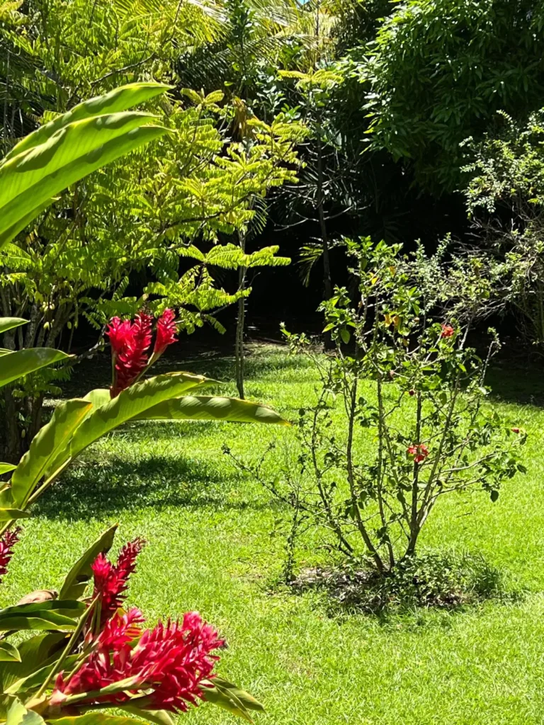 Le Paradis de la Guadeloupe a Pointe Noire Guadeloupe