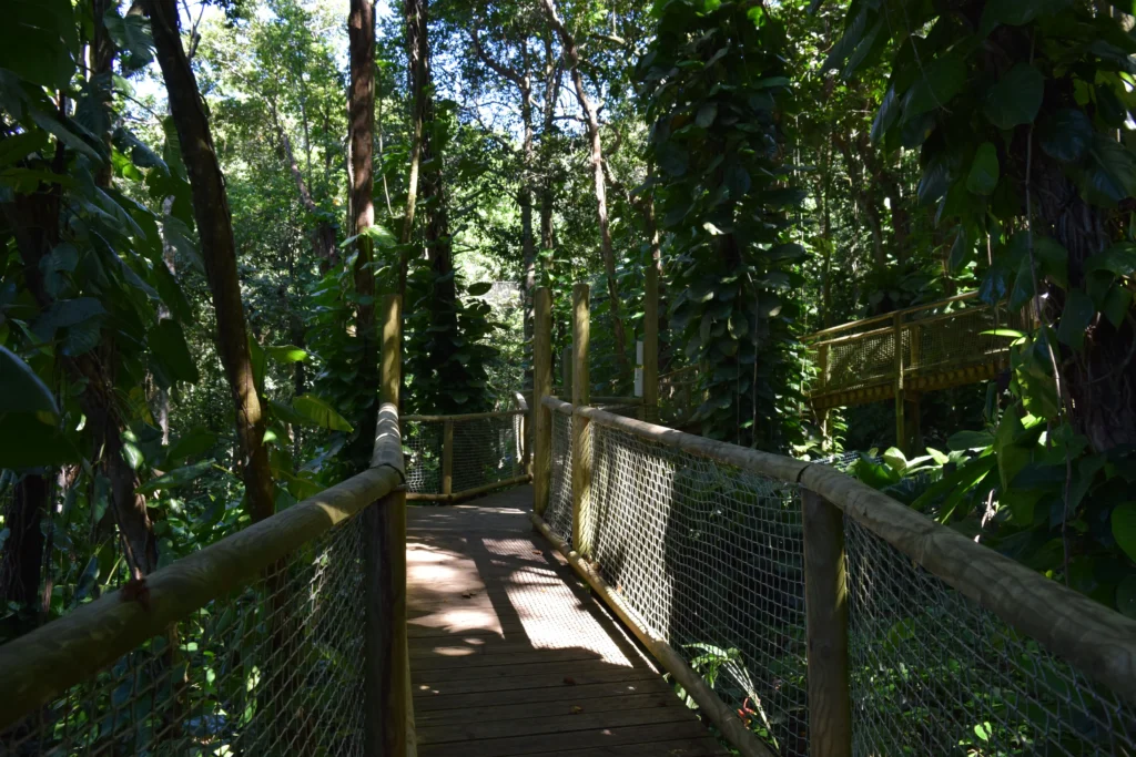 Le Zoo de Guadeloupe, Parc des Mamelles Guadeloupe (12)