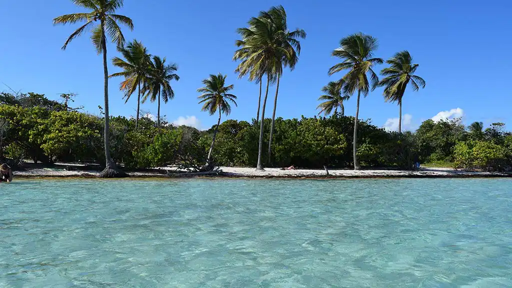 Plage de Bois Jolan à Sainte-Anne en Guadeloupe (