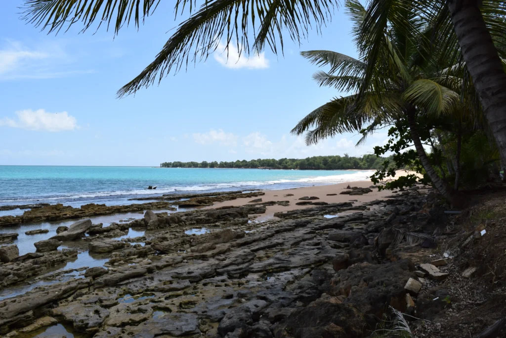 Plage de Clugny à Sainte-Rose Voyage France Guadeloupe