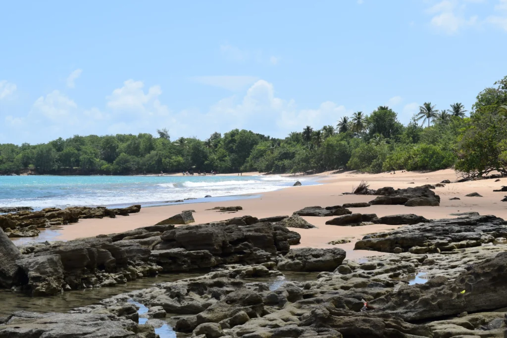 Plage de Clugny à Sainte-Rose Guadeloupe