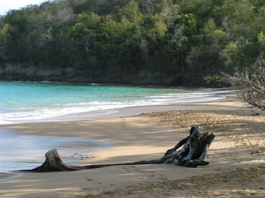 Plage de la Perle à Deshaies en Guadeloupe