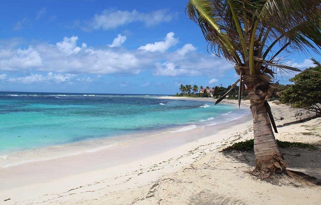 Plage des raisins clairs Saint Francois Guadeloupe