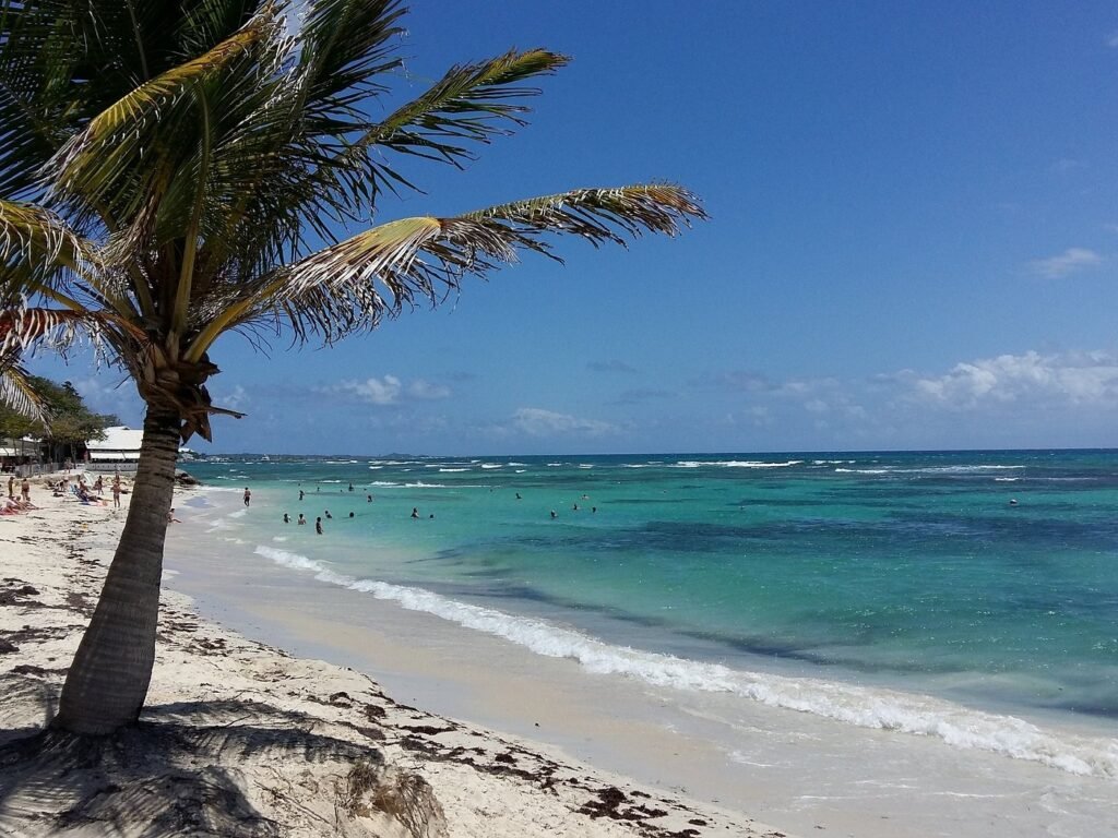 Plage des raisins clairs Saint Francois Guadeloupe