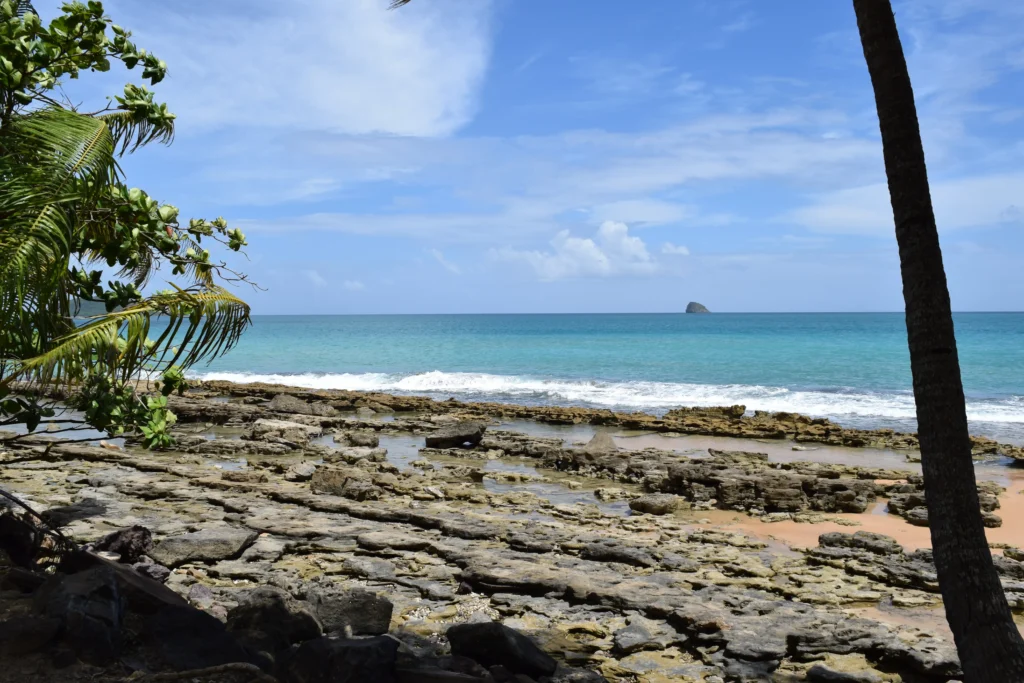 Plage de Clugny à Sainte-Rose Guadeloupe