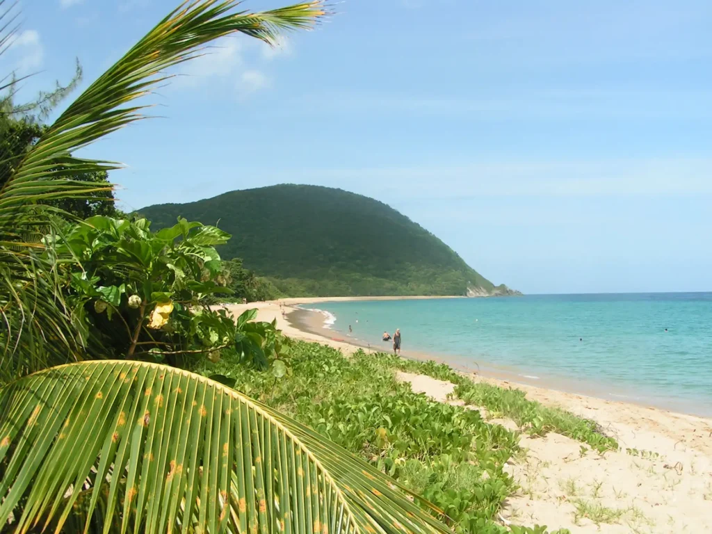 Vue du Gros Morne, ancien volcan coté Sud de Grande Anse à Deshaies Voyage France Guadeloupe