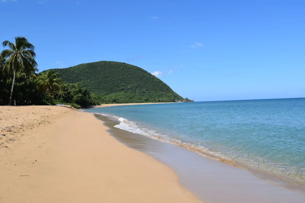 La vue du Gros Morne de Grande Anse Guadeloupe