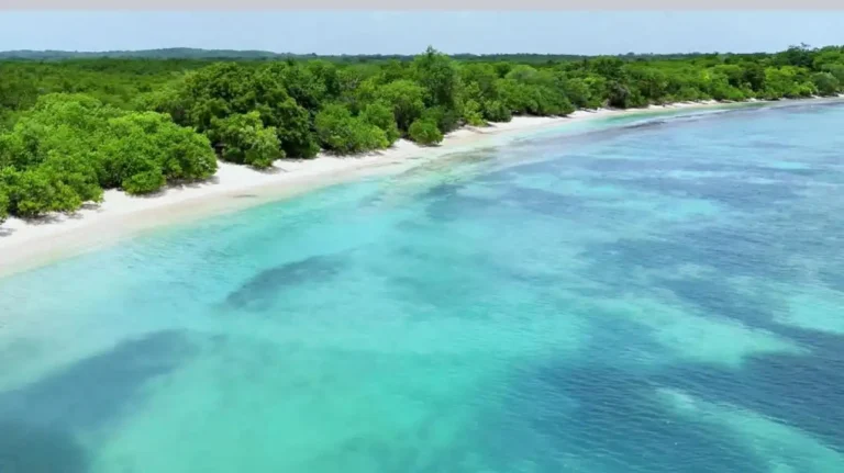 570 mètres de sable blond et chaud à la plage du Souffleur à Port-Louis Guadeloupe