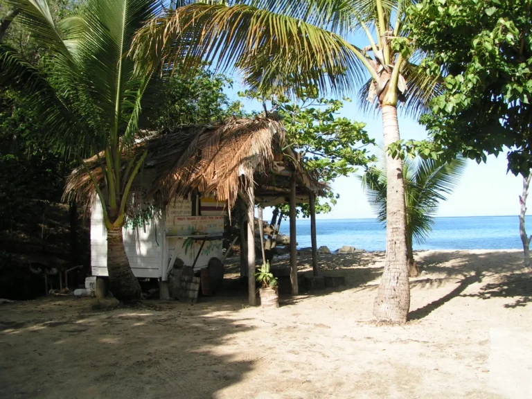 Cabane de la Route du Root Plage de Tit'Anse à Pointe-Noire en Guadeloupe