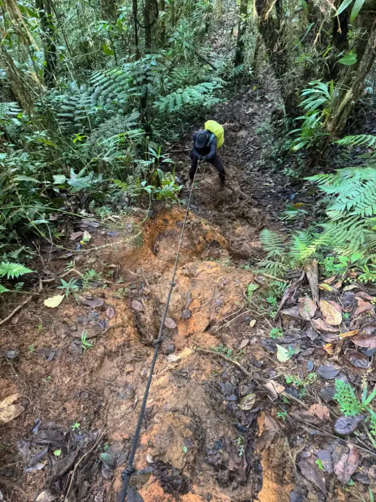 Paysages de Guadeloupe lors du Bivouac avec Akwaform Randonnées