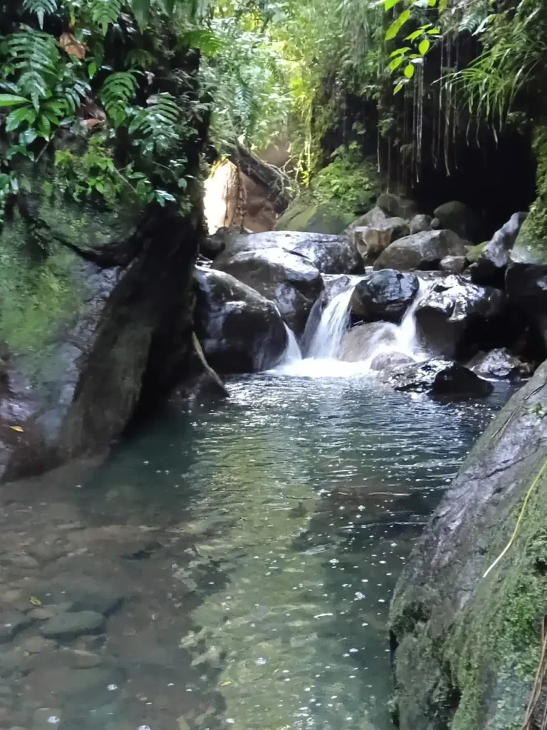 Cascade Parabole, Foret de Gourbeyre avec Akwaform Randonnées Guadeloupe