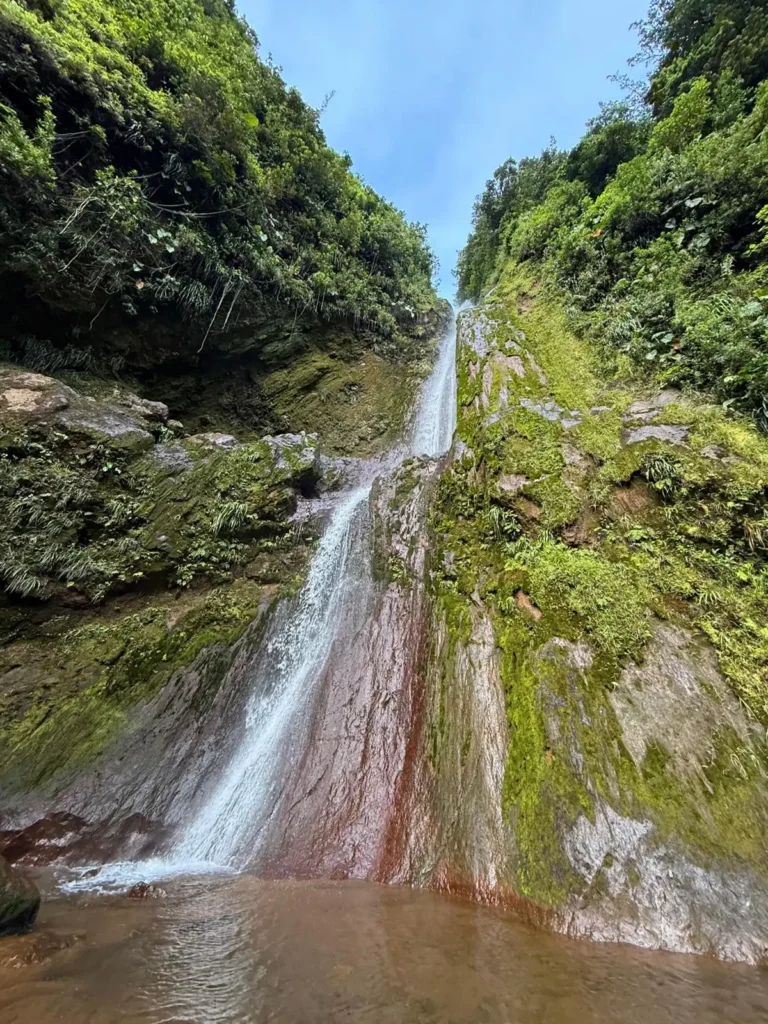 Chute du Carbet Akwaform Randonnées Guadeloupe (14)