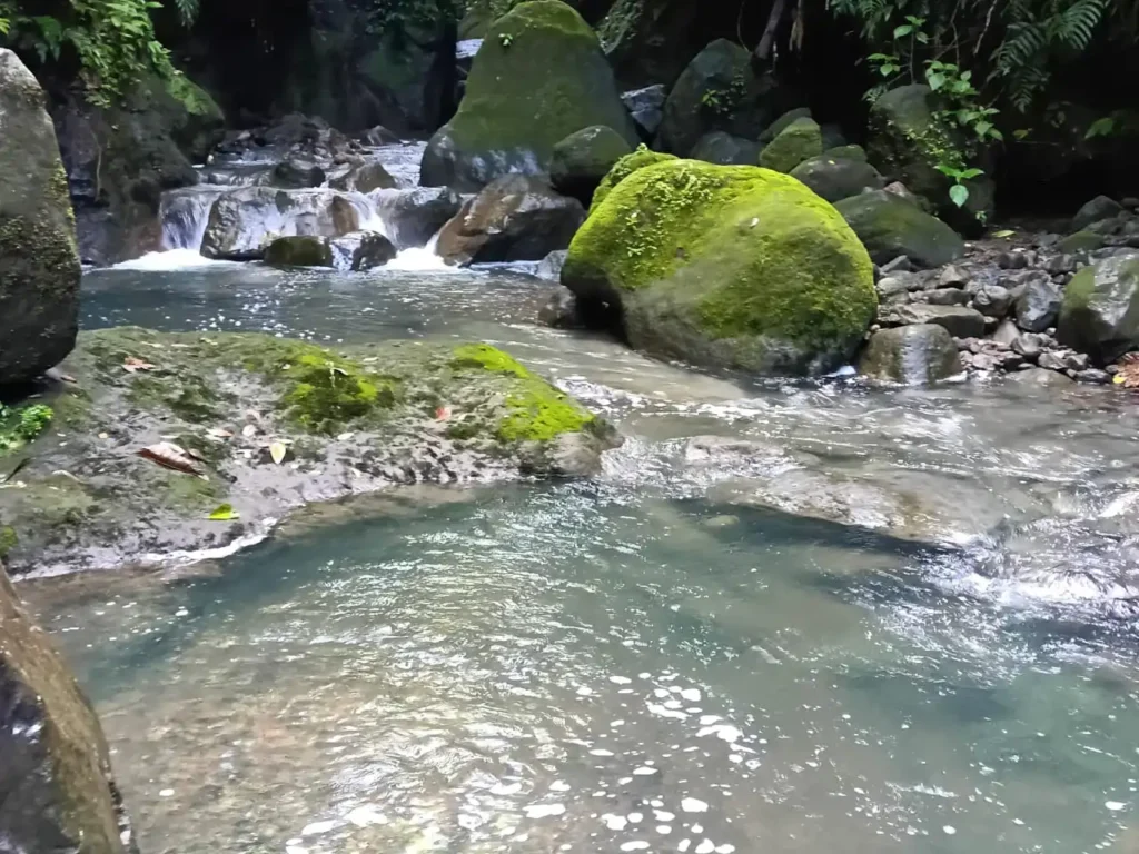 Cascade Parabole, Foret de Gourbeyre avec Akwaform Randonnées Guadeloupe