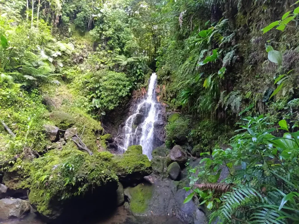Akwaform Randonnées Guadeloupe