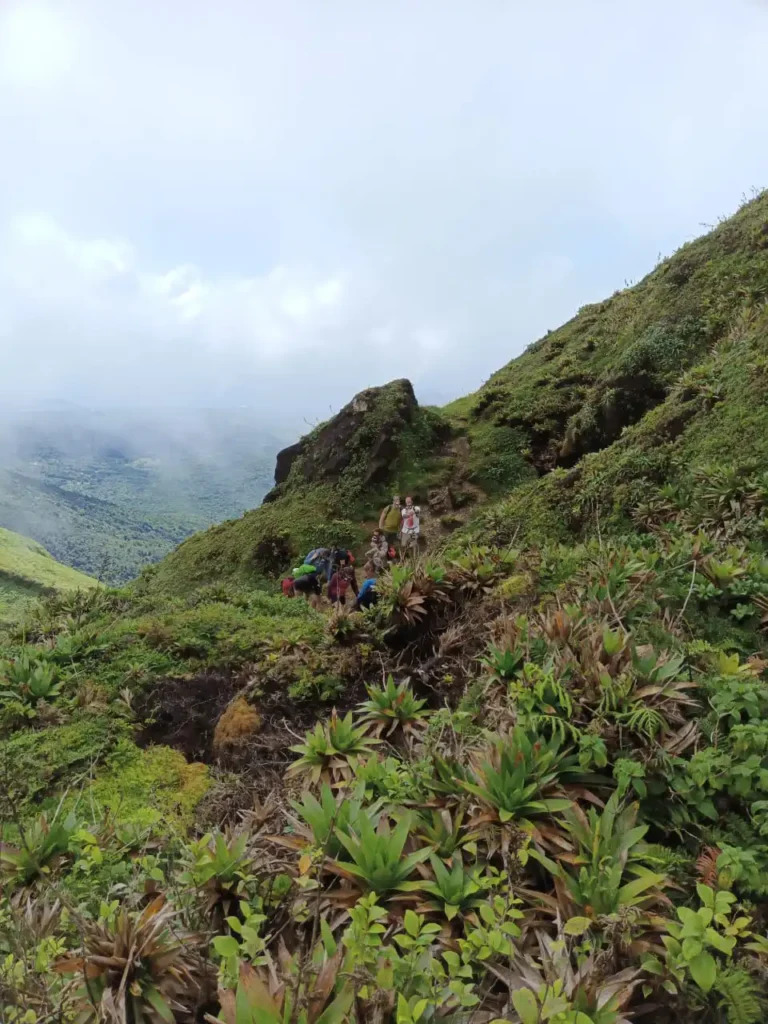La Soufrière Guadeloupe avec Akwaform Randonnées