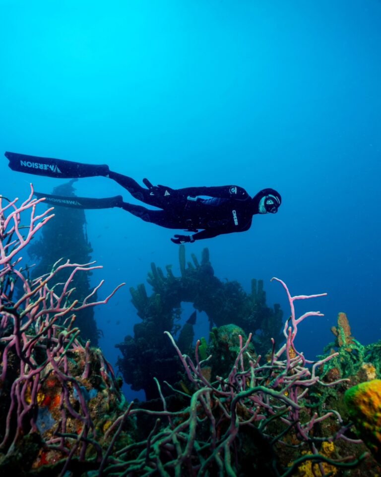 Anbadlola Plongée Guadeloupe