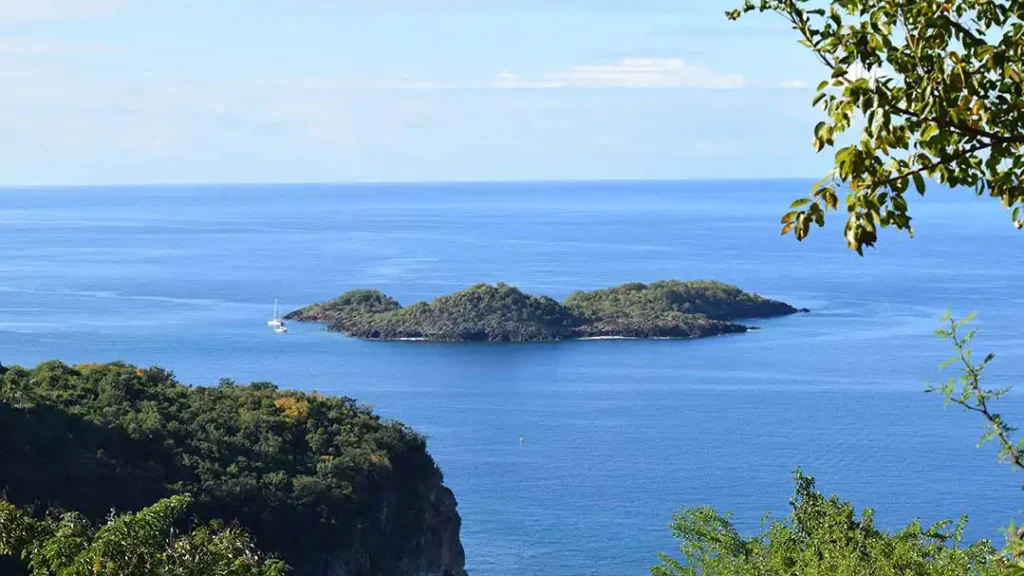 Malendure (réserve Cousteau) au large de Bouillante Guadeloupe