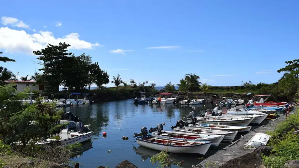 Marina de Bouillante Guadeloupe