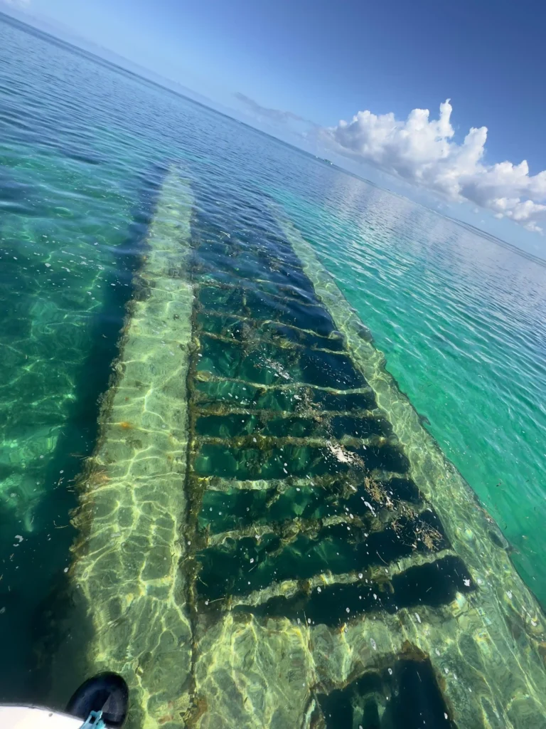 Epave de la barge Caraibe Passiflora Excursion à Sainte-Rose (Guadeloupe)