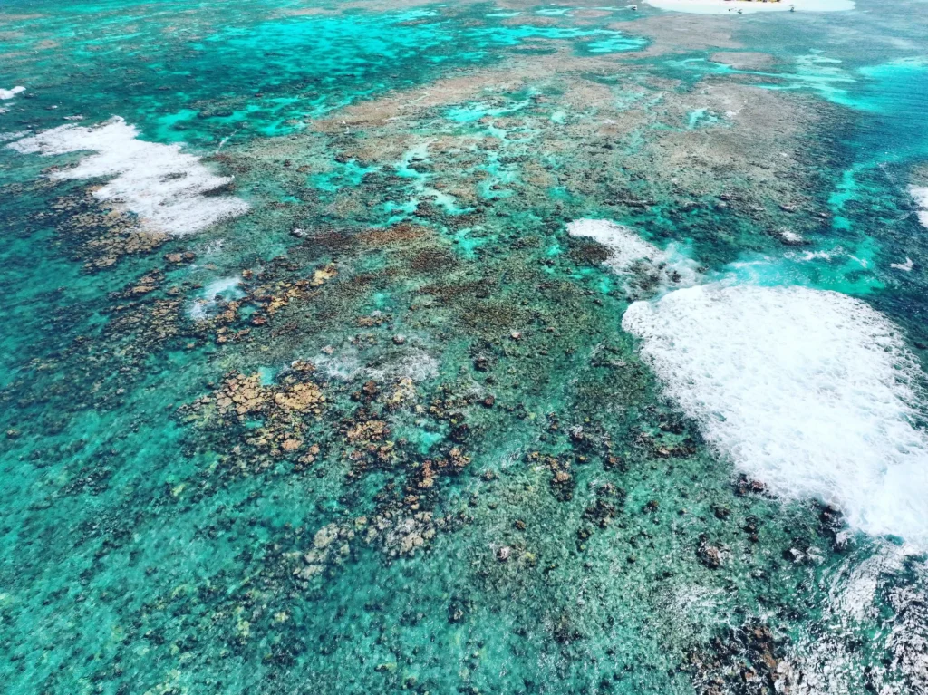 Vue aérienne du lagon du Grand-cul-de-sac marin à Sainte-Rose (Guadeloupe)