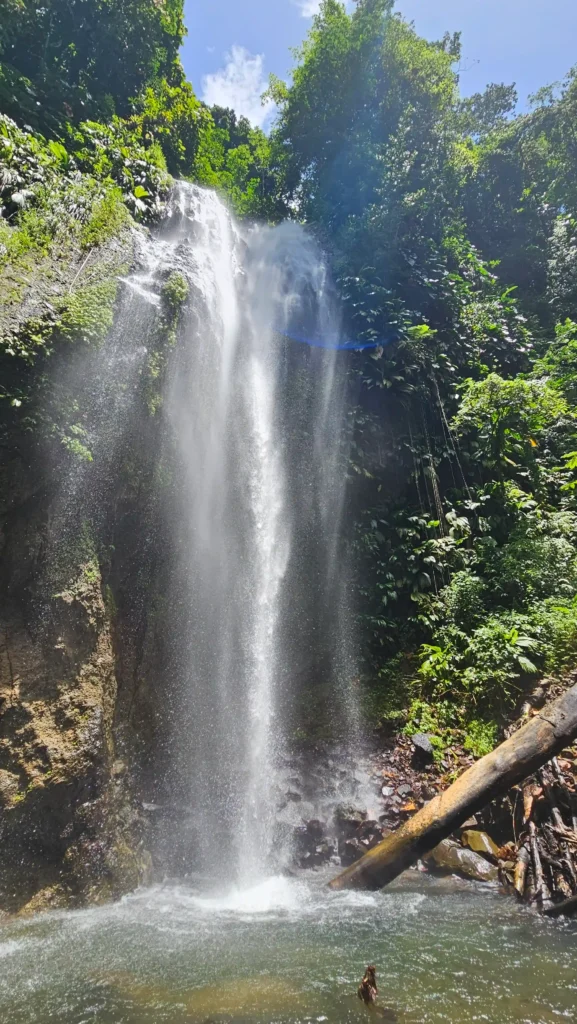 Cascade du Fond Combat à Bouillante Guadeloupe avec Gîte Chez Claudia