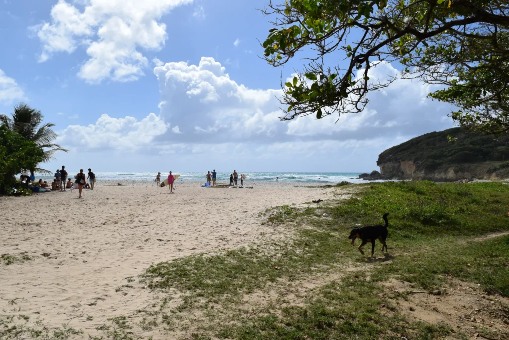 De bonne heure un dimanche matin Plage de Gros Sable à Sainte-Anne Guadeloupe