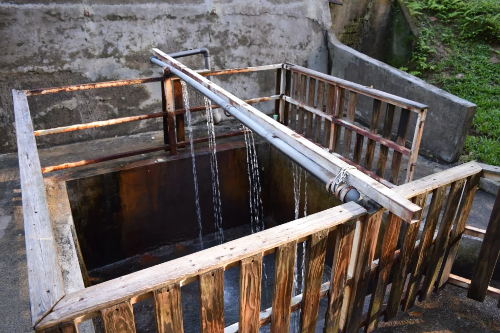 Eaux soufrées de Sofaïa à Sainte-Rose Gaudeloupe