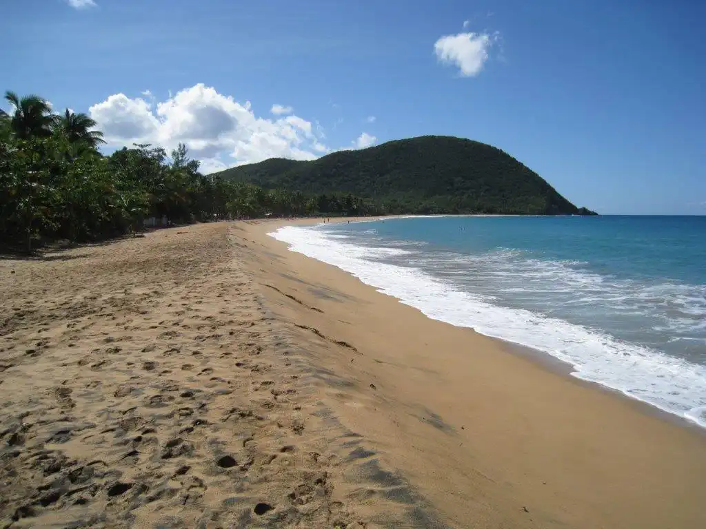 Plage de Grande Anse à Fleurs des iles à Deshaies Guadeloupe