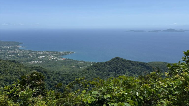 La Cote de Guadeloupe vue depuis la soufrière Akwaform Randonnées