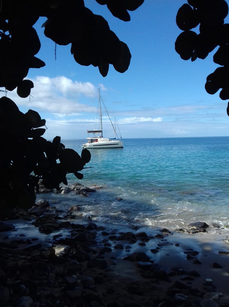 Joli voilier depuis l'Anse Caraïbes à Pointe-Noire Guadeloupe