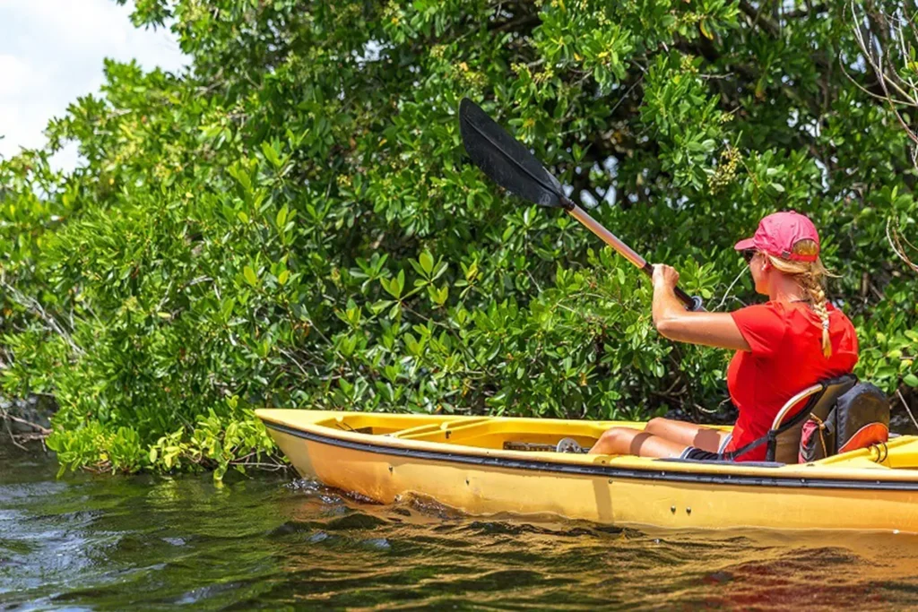 A travers la mangrove avec Kayak An Nou Sainte-Rose Guadeloupe (1)