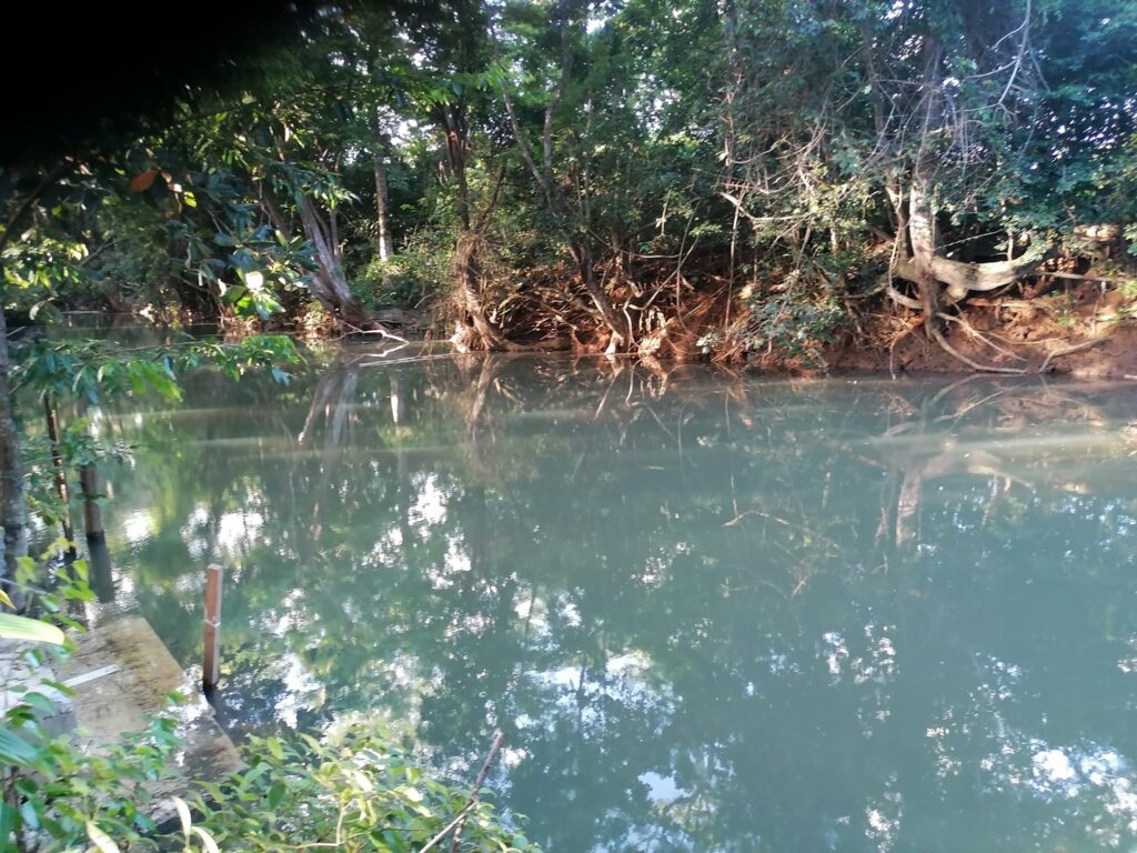 Ballade dans la mangrove avec Kayak An Nou Sainte-Rose Guadeloupe