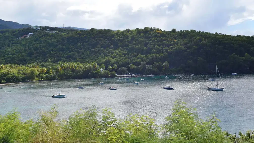 La baie de Bouillante avec ses bateaux Guadeloupe