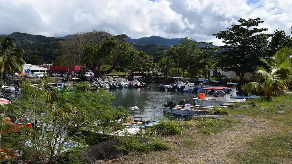 La marina de Bouillante Guadeloupe