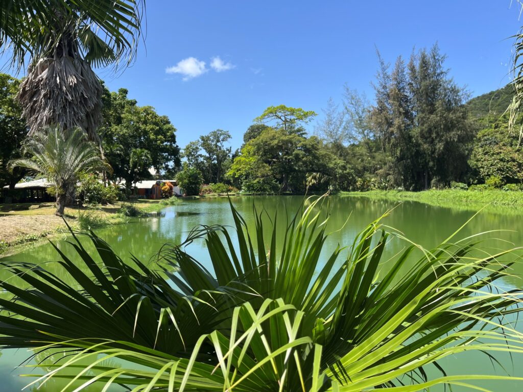 Parc Aquacole à Pointe-Noire Guadeloupe