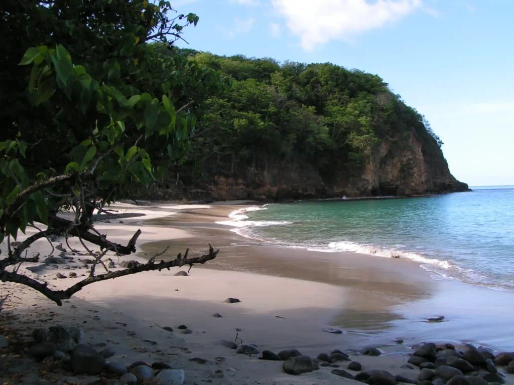 La falaise coté sud qui protège la Plage Paul Thomas dite Bosco Deshaies Guadeloupe