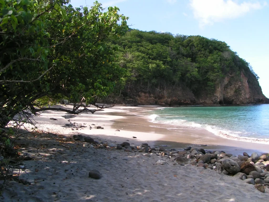 Plage Paul Thomas dite Bosco Deshaies Guadeloupe