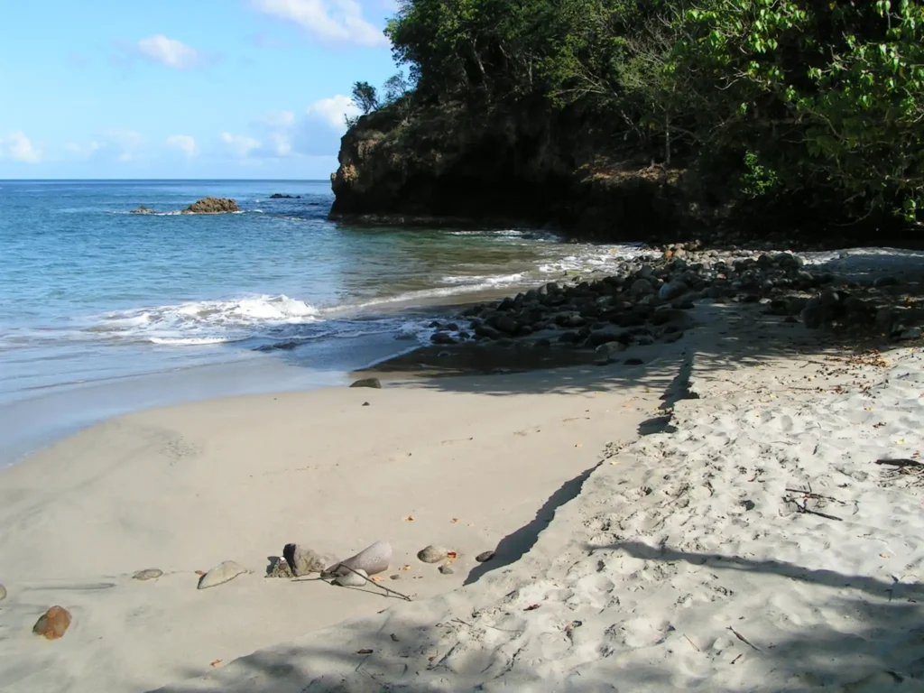 Les formations rocheuses coté nord de la Plage Paul Thomas dite Bosco Deshaies Guadeloupe