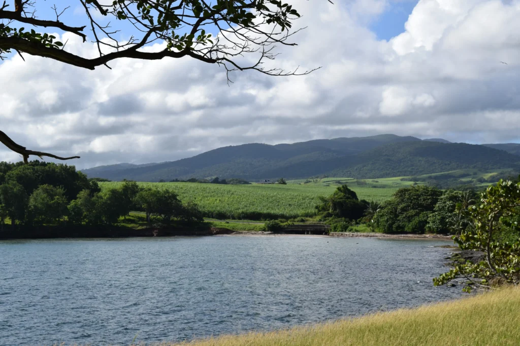Plage des amandiers à Sainte-Rose Guadeloupe
