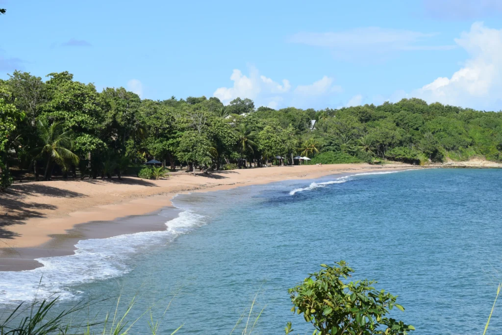 Plage des amandiers à Sainte-Rose Guadeloupe