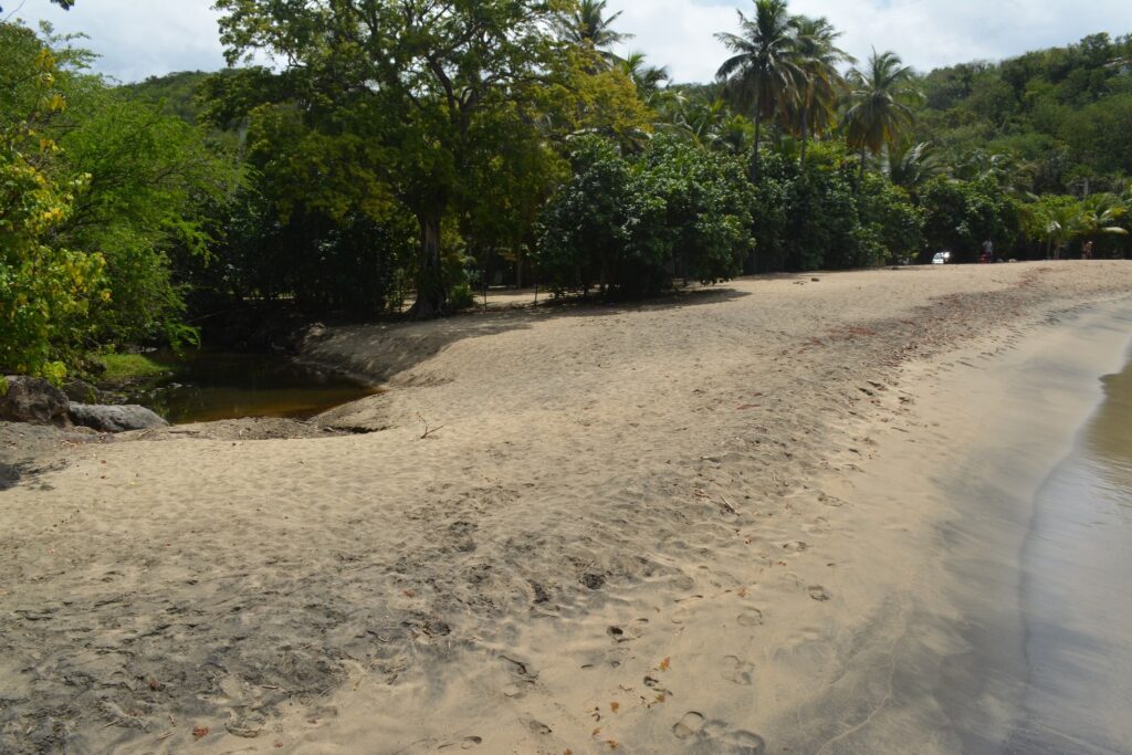 Plage de Pointe-Noire Guadeloupe
