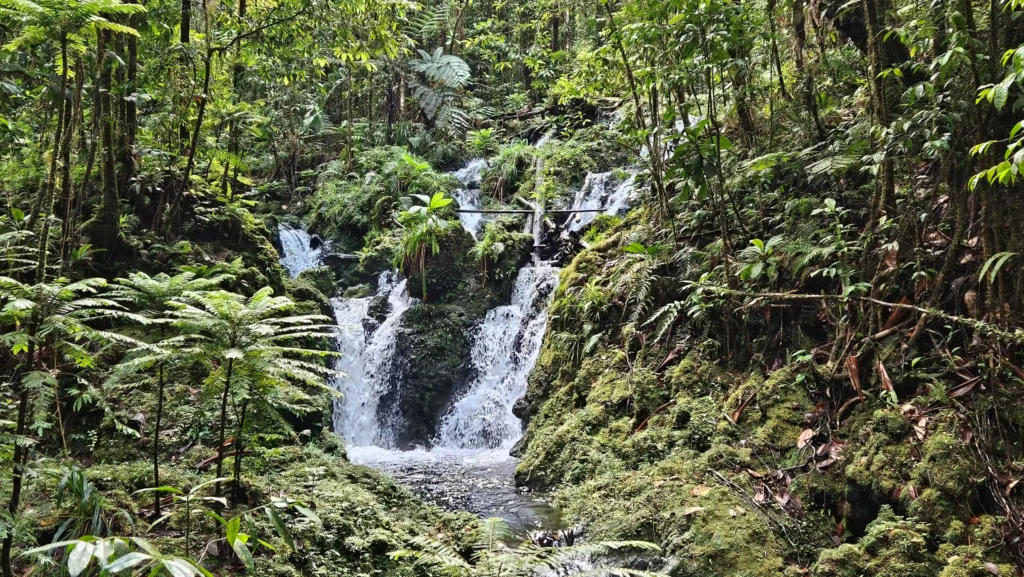 Ravine Tonnelle Cap Esterre Belle Eau avec Gîte Chez Claudia