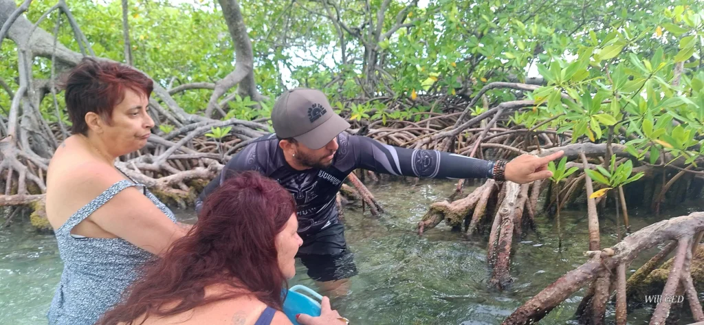 Sortie pédagogique avec Will Evasion à Sainte Rose en Guadeloupe