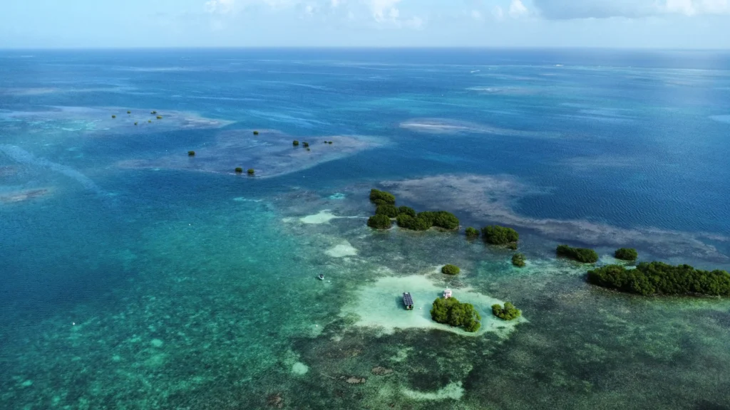 Excursion dans les mangroves de Sainte-Rose avec Will Evasion (Guadeloupe)